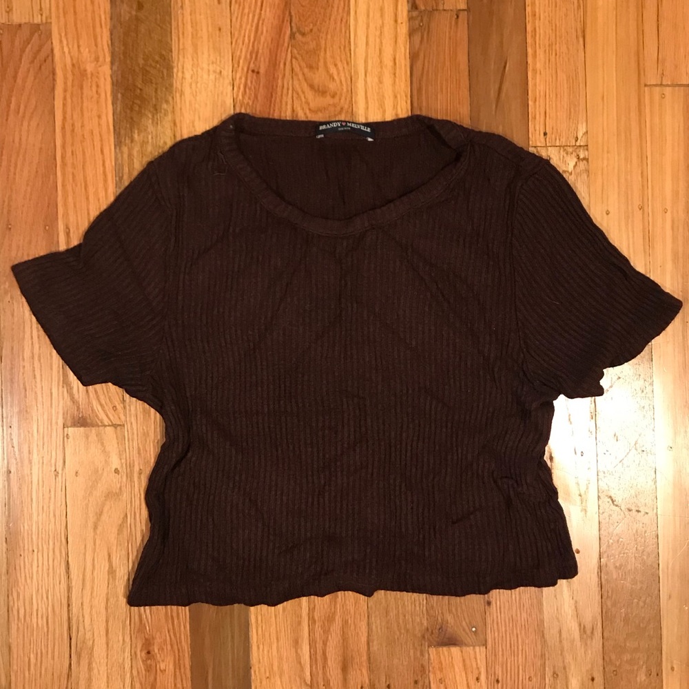 Brandy Melville burgundy crop top